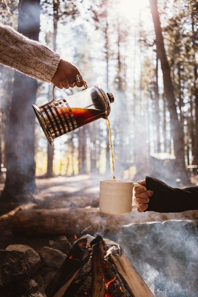taza de te en el bosque para planes otoño